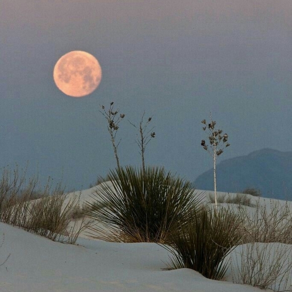 Meet your Posher, Beccah - Picture 1 of 2